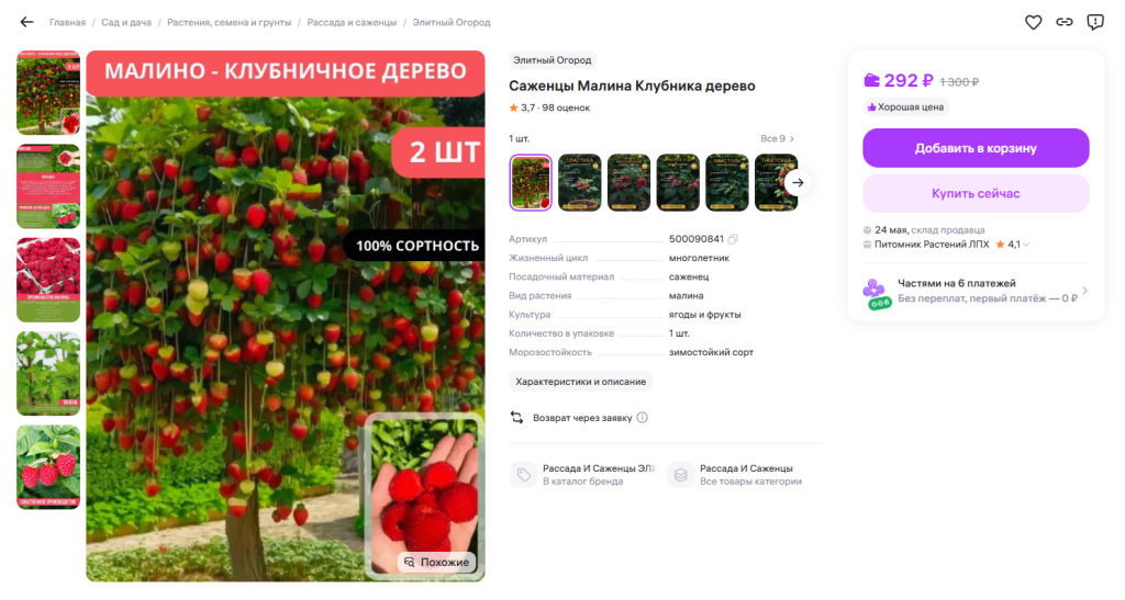 Если вы не разбираетесь в ИИ, вы — идеальная жертва